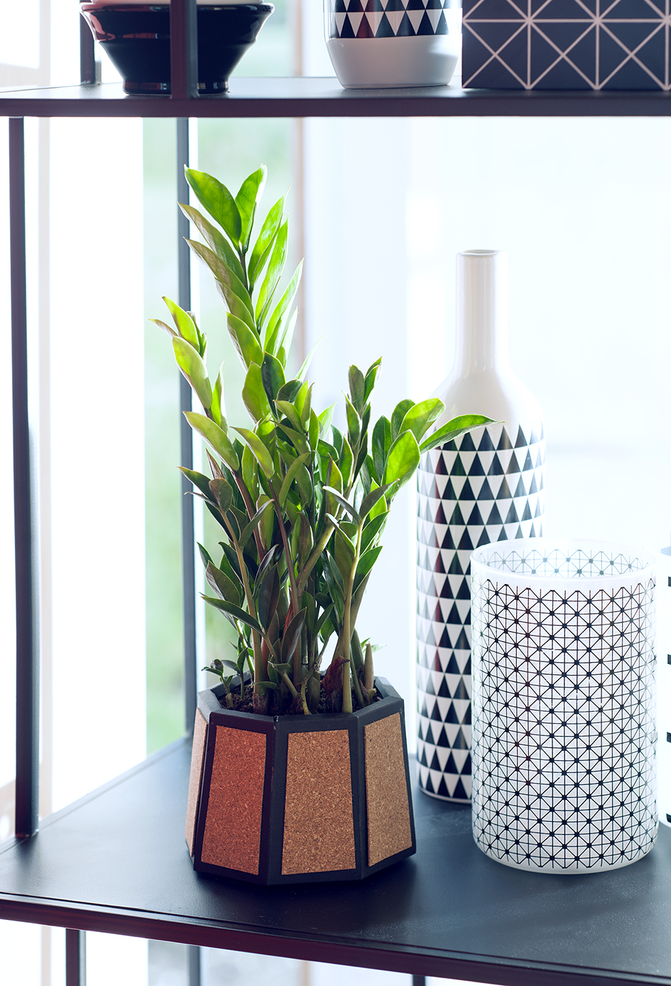 zamioculcas_diy_mooiwatplantendoen_3