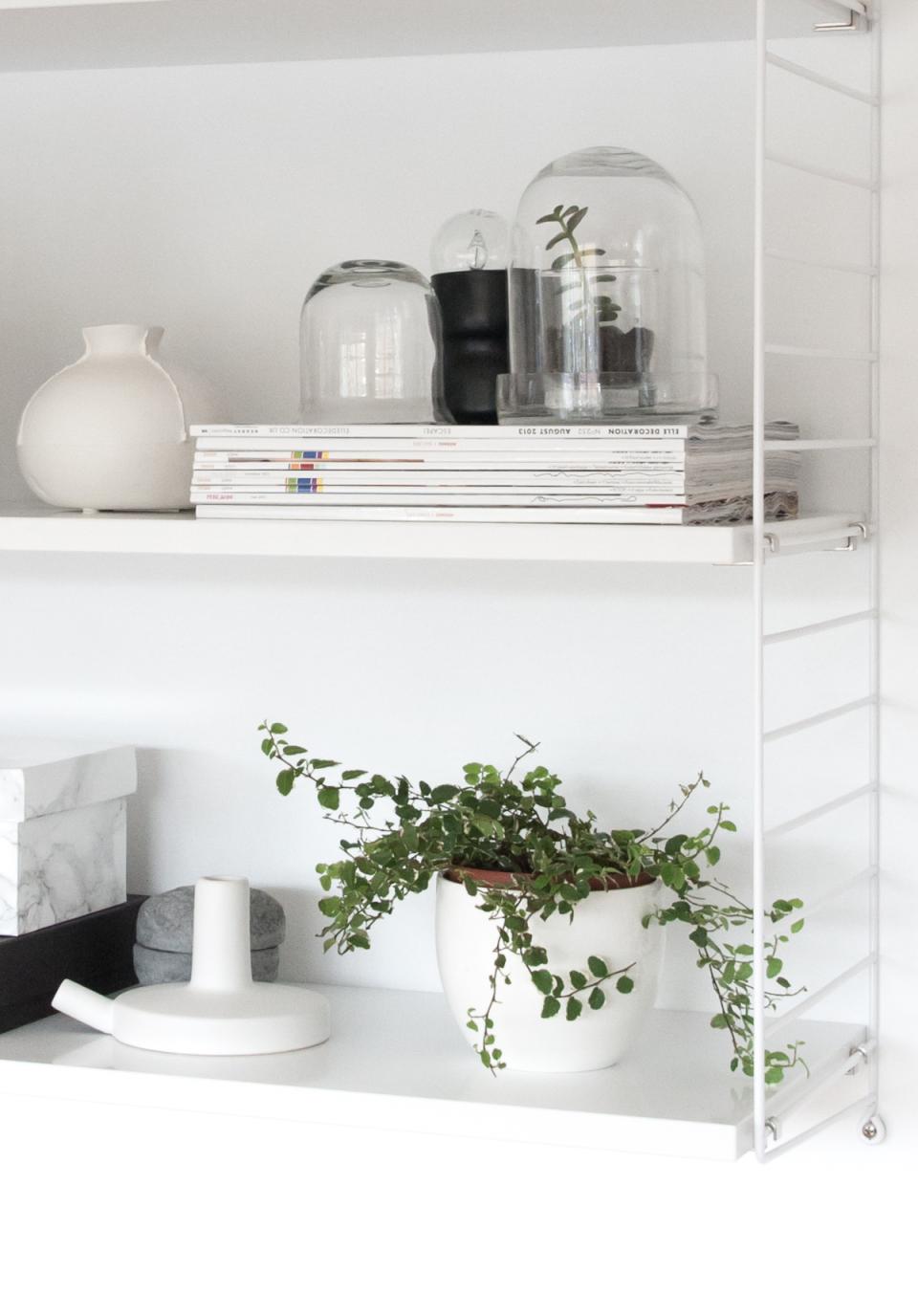 maplantemonbonheur.fr  Shelfie  vert art etagere maison 