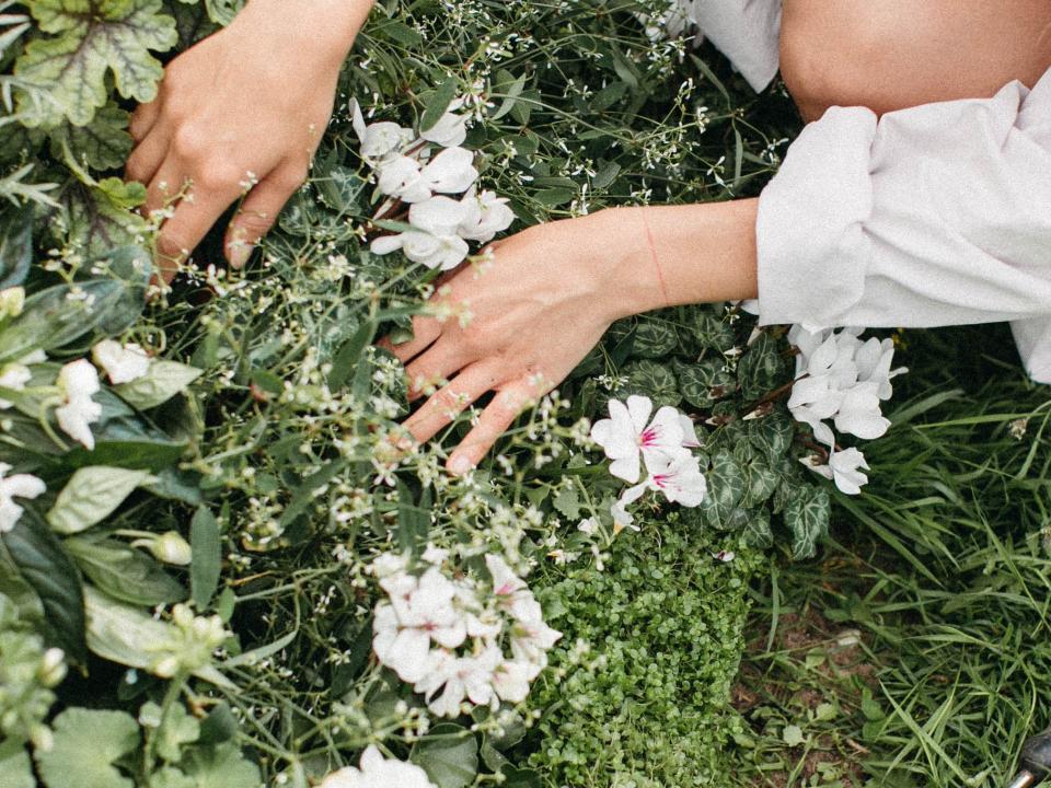 lente | lente klusjes tuin | doen in tuin in voorjaar 