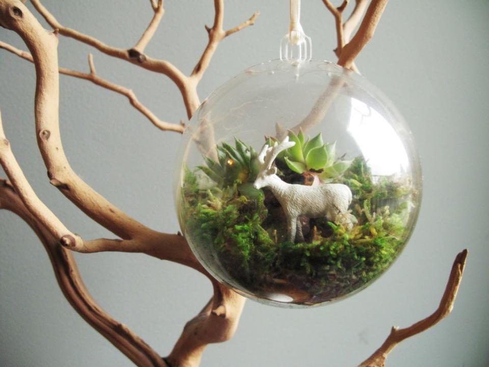 maplantemonbonheur.fr  jardin boule terrarium