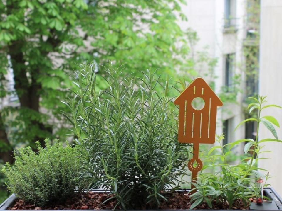 maplantemonbonheur.fr jardinière fenetre plante  DIY fleur en fille