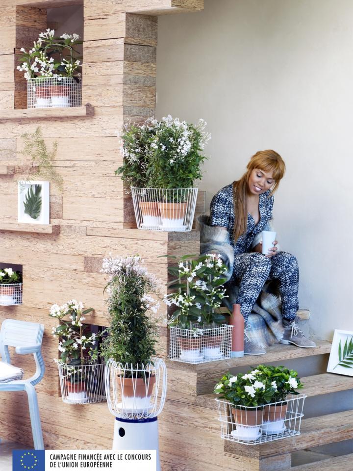 Fleurs blanches parfumées - A chaque mois sa plante