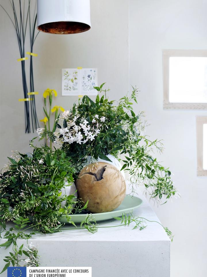 Fleurs blanches parfumées - A chaque mois sa plante