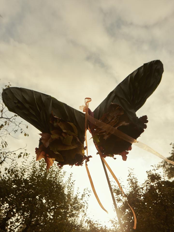 klusjes tuin herfst | diervriendelijke herfsttuin