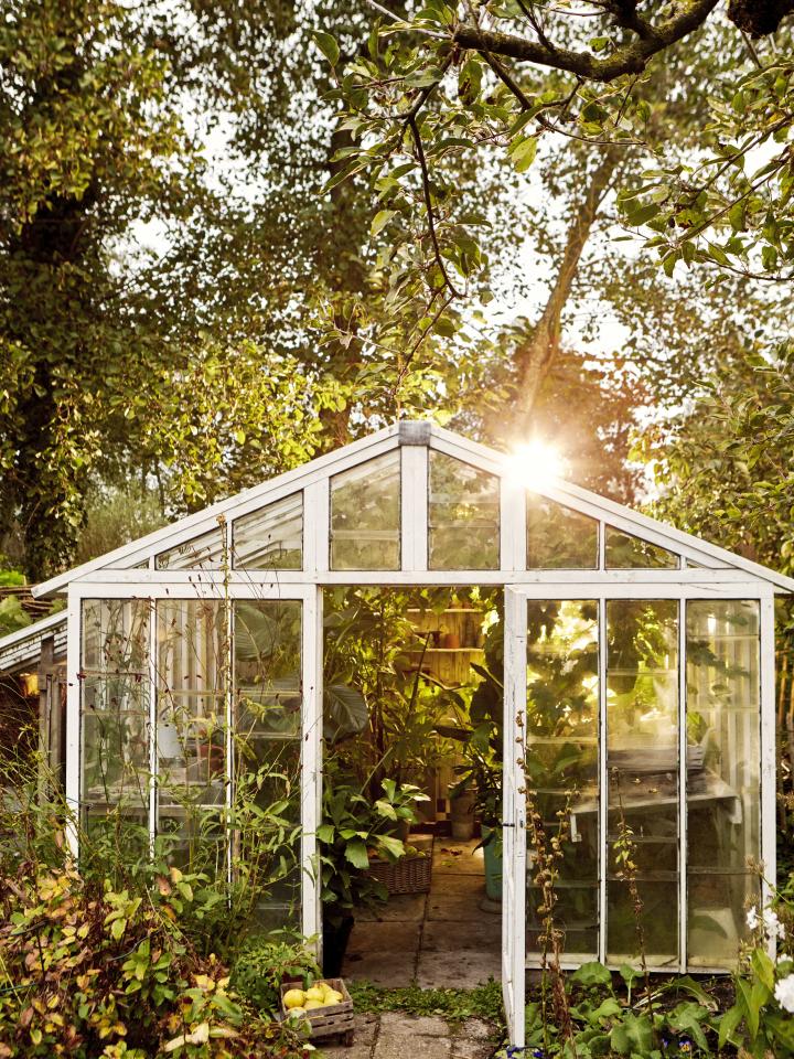 tuinplanten overwinteren kas