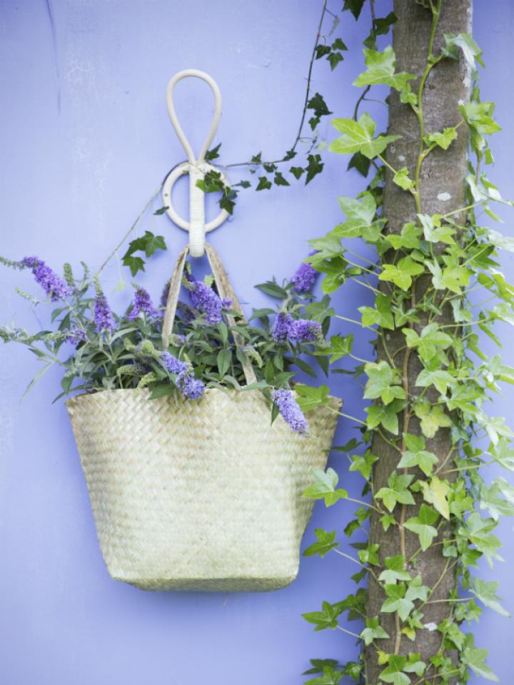 Arbre aux papillons - Maplantemonbonheur.fr