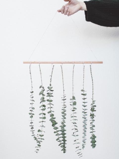 DIY : une suspension murale d'eucalyptus Maplantemonbonheur.fr