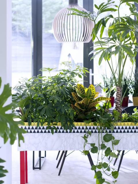 DIY : un bougeoir décoré de boutures de plantes