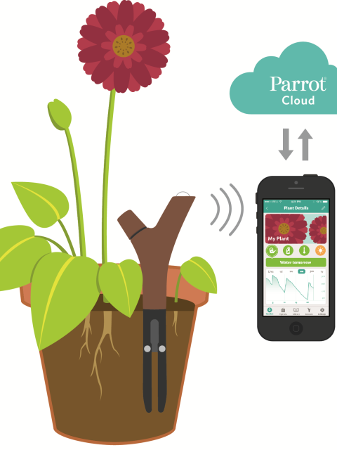 maplantemonbonheur.fr parrot connecte plante